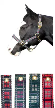 1 Inch Padded Plaid Nylon Halter