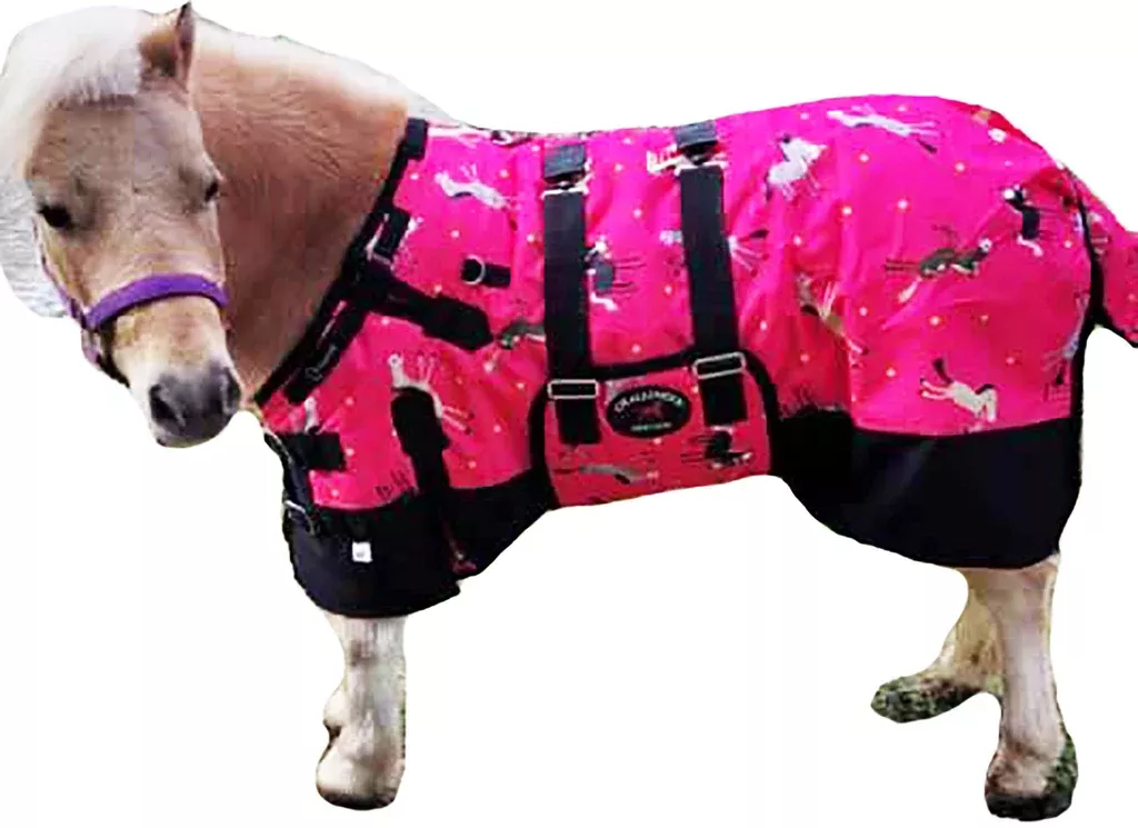 1200D Miniature Horse Winter Turnout Blanket