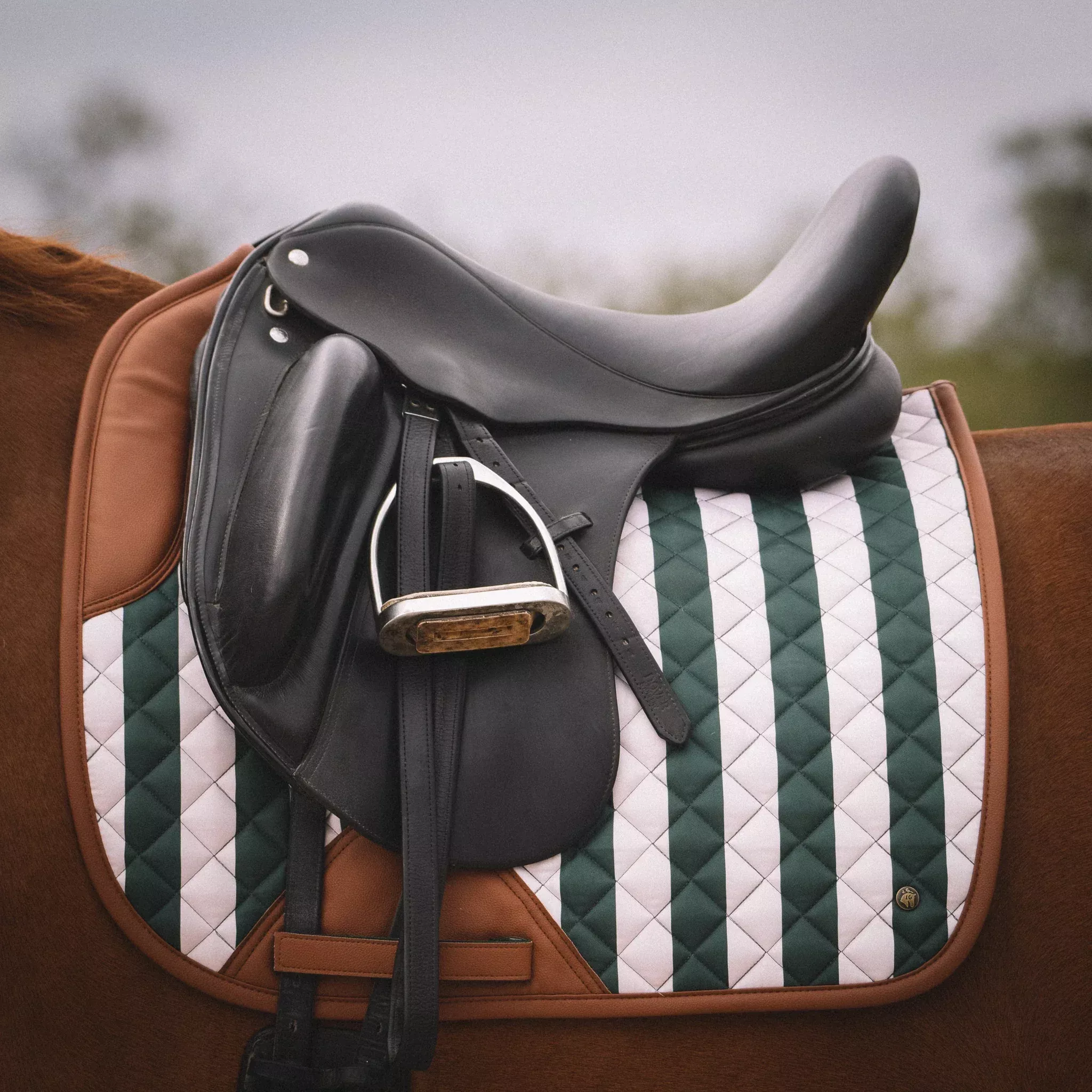 16C Carmel Stripe Saddle Pads