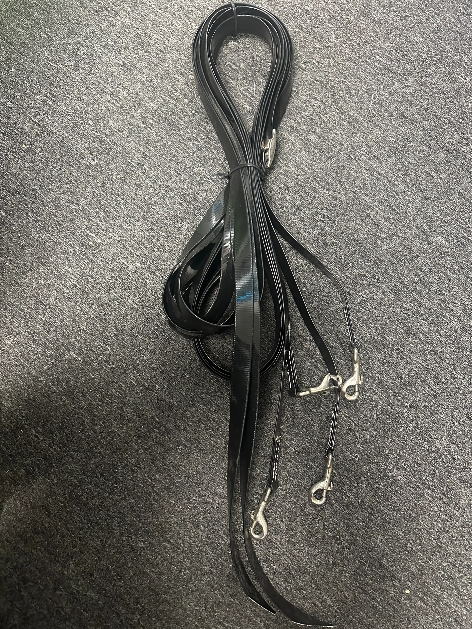 18ft. Pair Driving Reins black Biothane