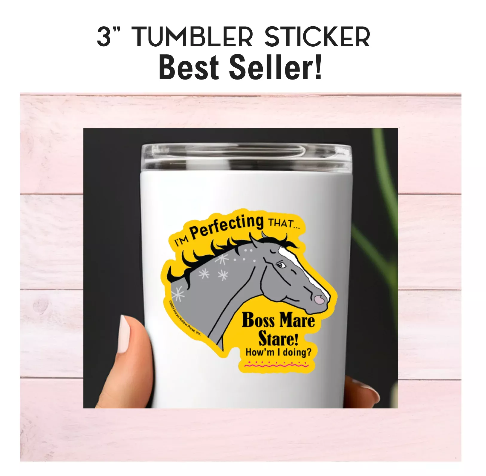 3" Tumbler Horse Sticker / Boss Mare Stare / WATERPROOF