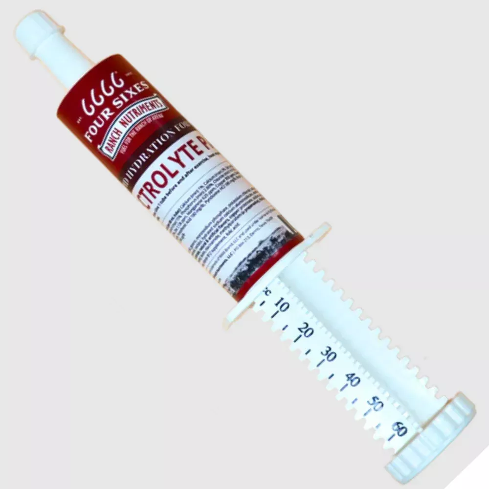6666 Ranch Nutriments Electrolyte Paste