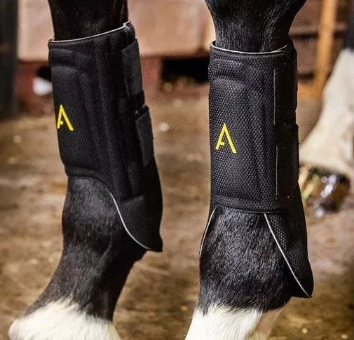 Adagio Protective Leg Boots
