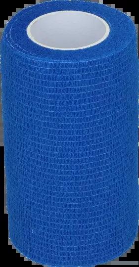 Adhesive Bandage