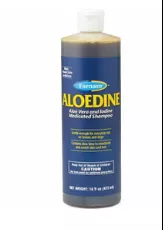 Aloedine Medicated Shampoo