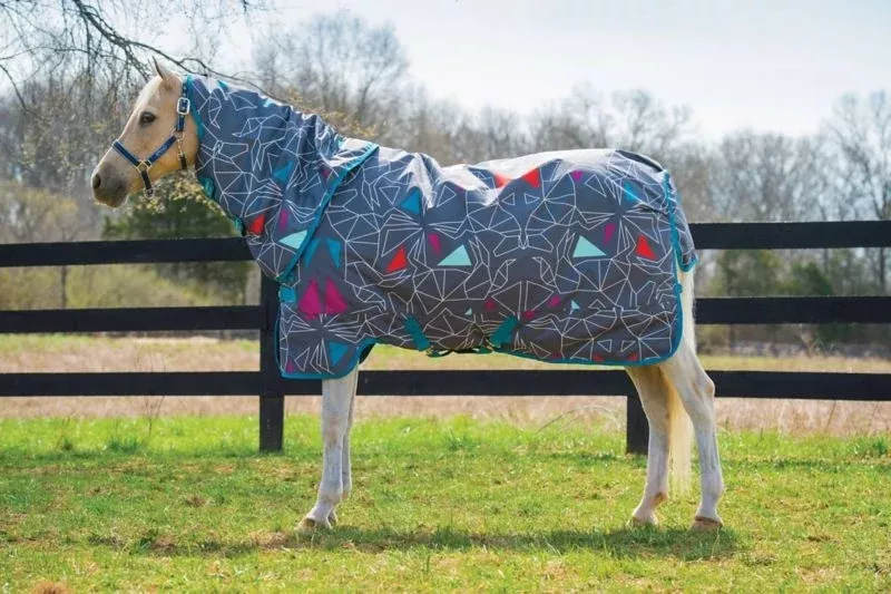 Amigo Pony Plus Turnout Blanket (0g Lite)