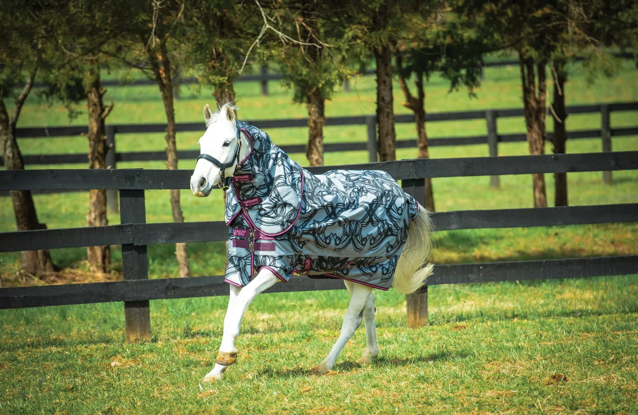 Amigo Pony Plus Turnout Blanket Medium (200g Medium)