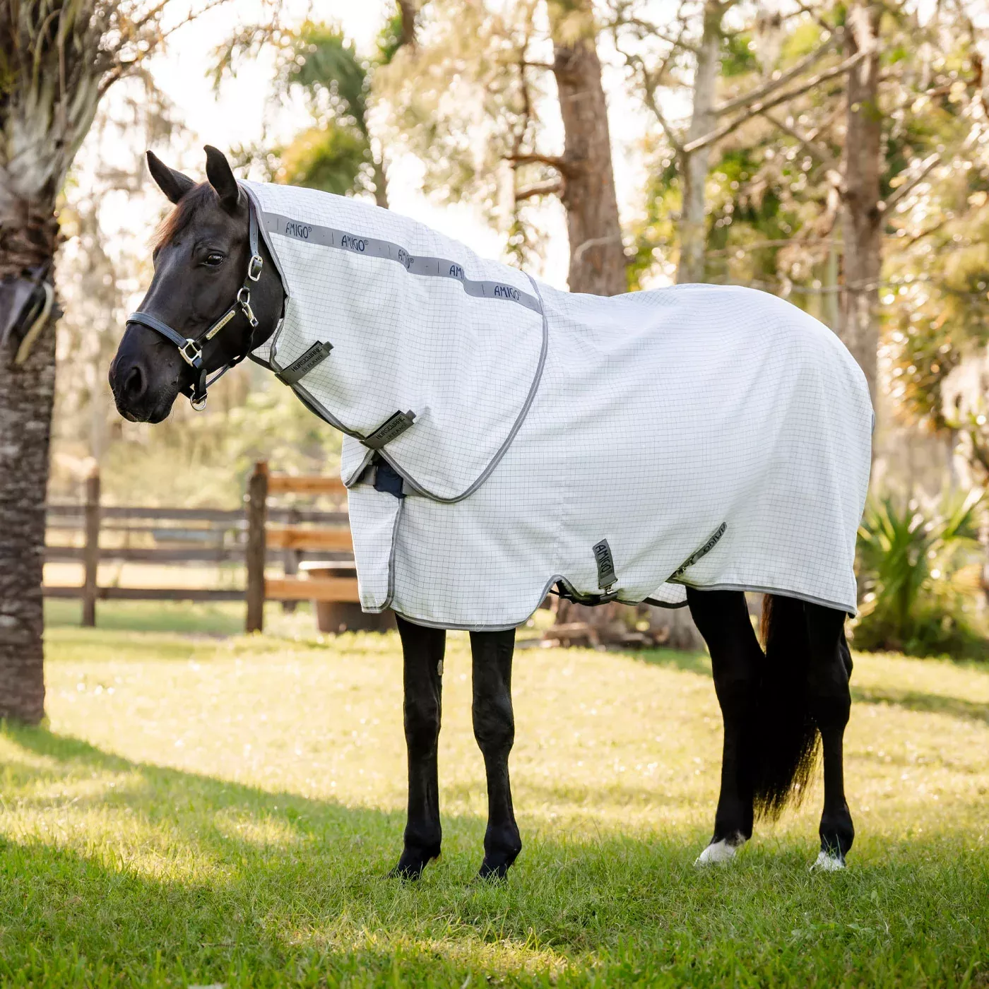 Amigo Summer Fly Sheet Plus