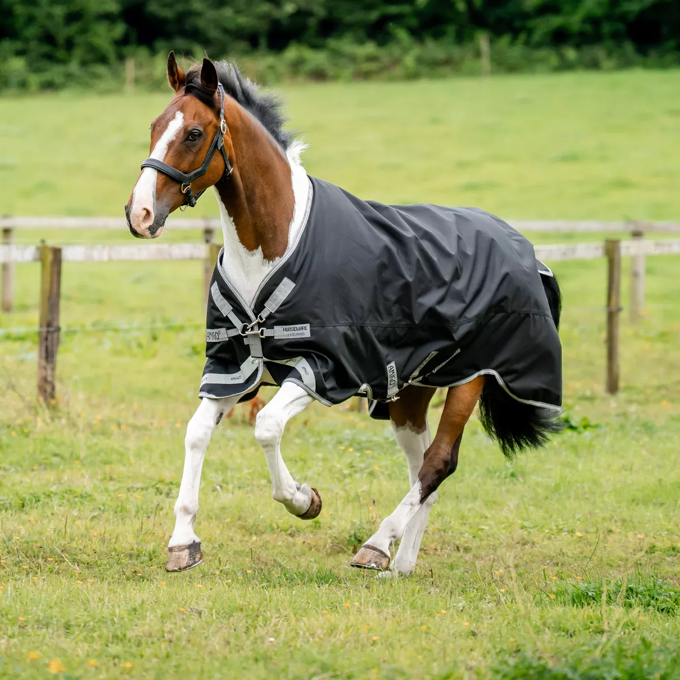 Amigo XL 1200D Turnout Blanket 0 g
