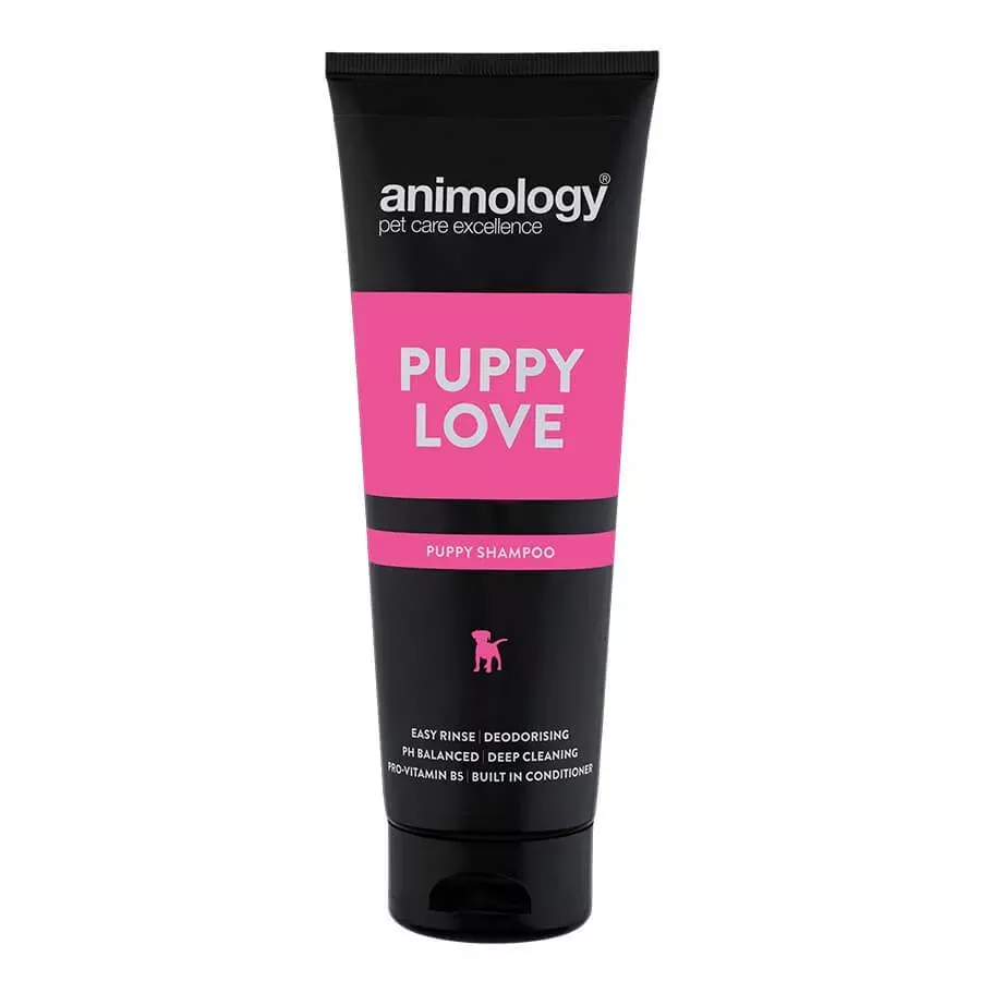 Animology Puppy Love