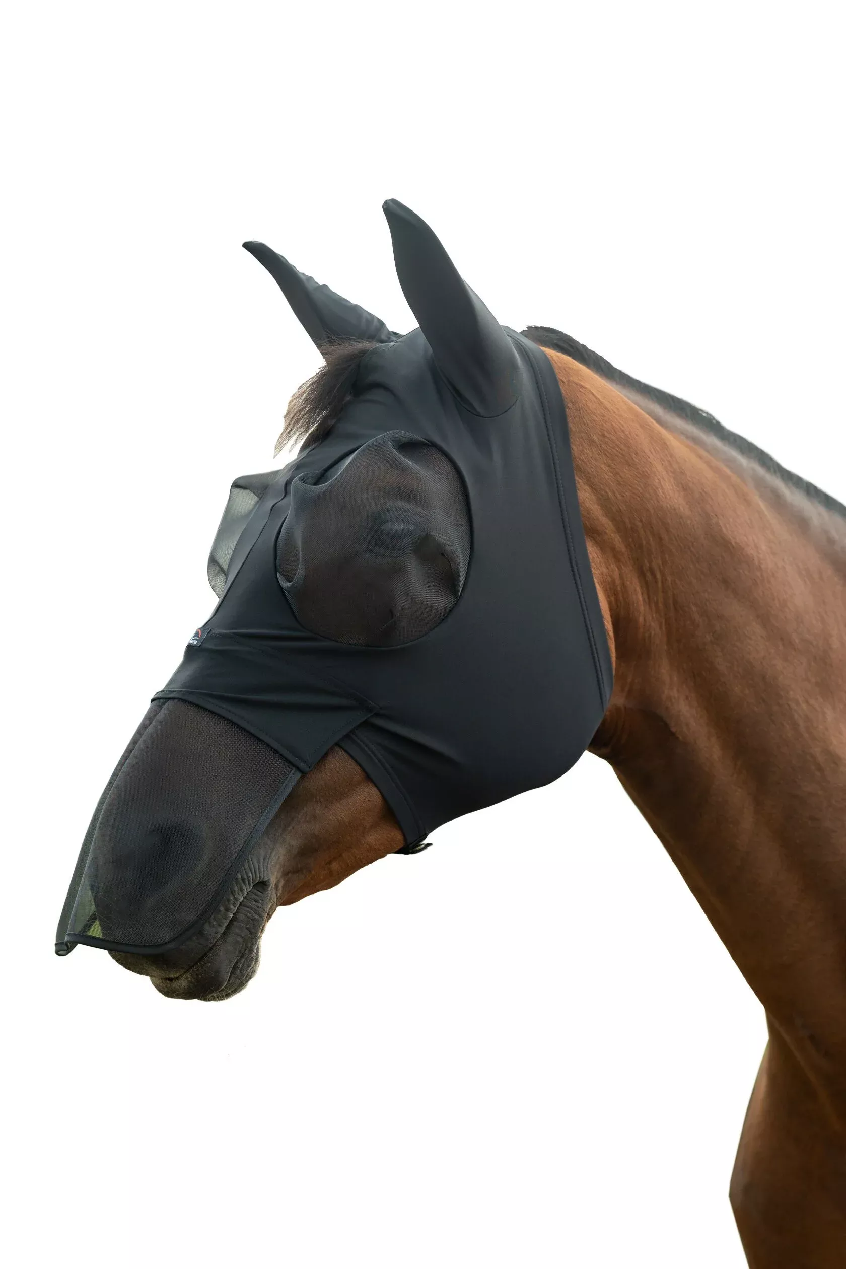 Anti Fly Mask Elastic with Nose Protection