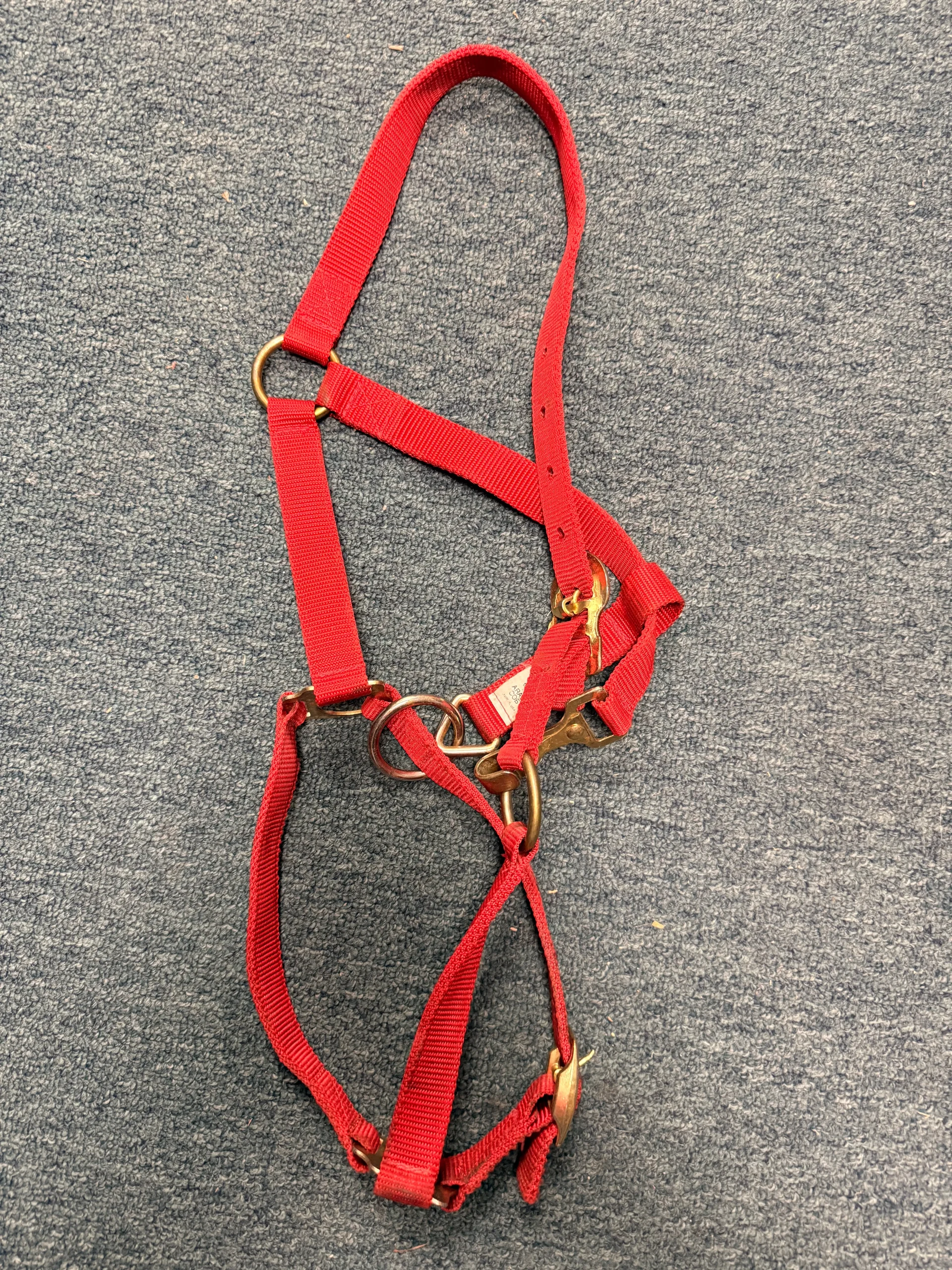 Arab / Cob Red Nylon Halter