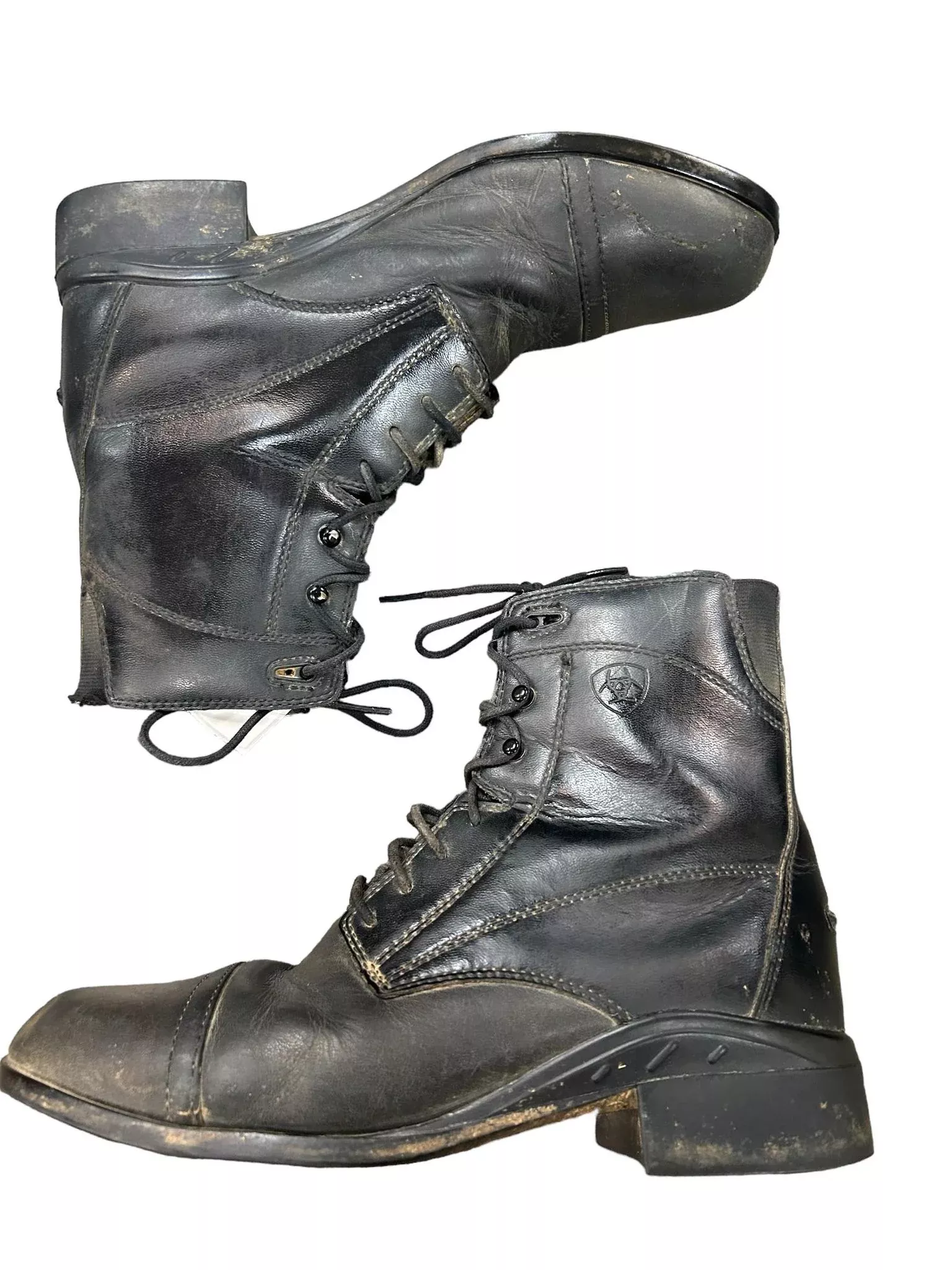 Ariat Paddock Boots - Black 8.5 - USED