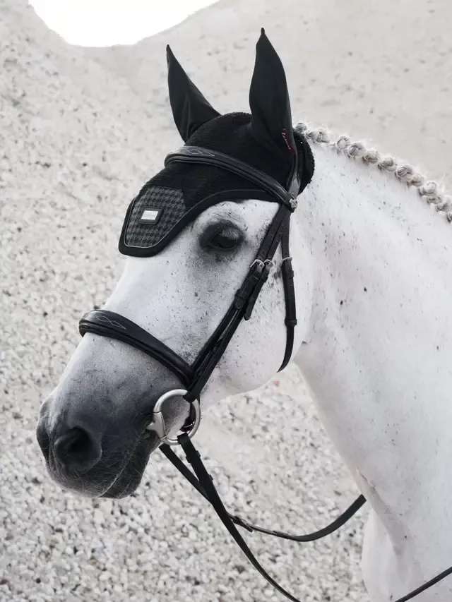 Aspen Ear Bonnet Houndstooth