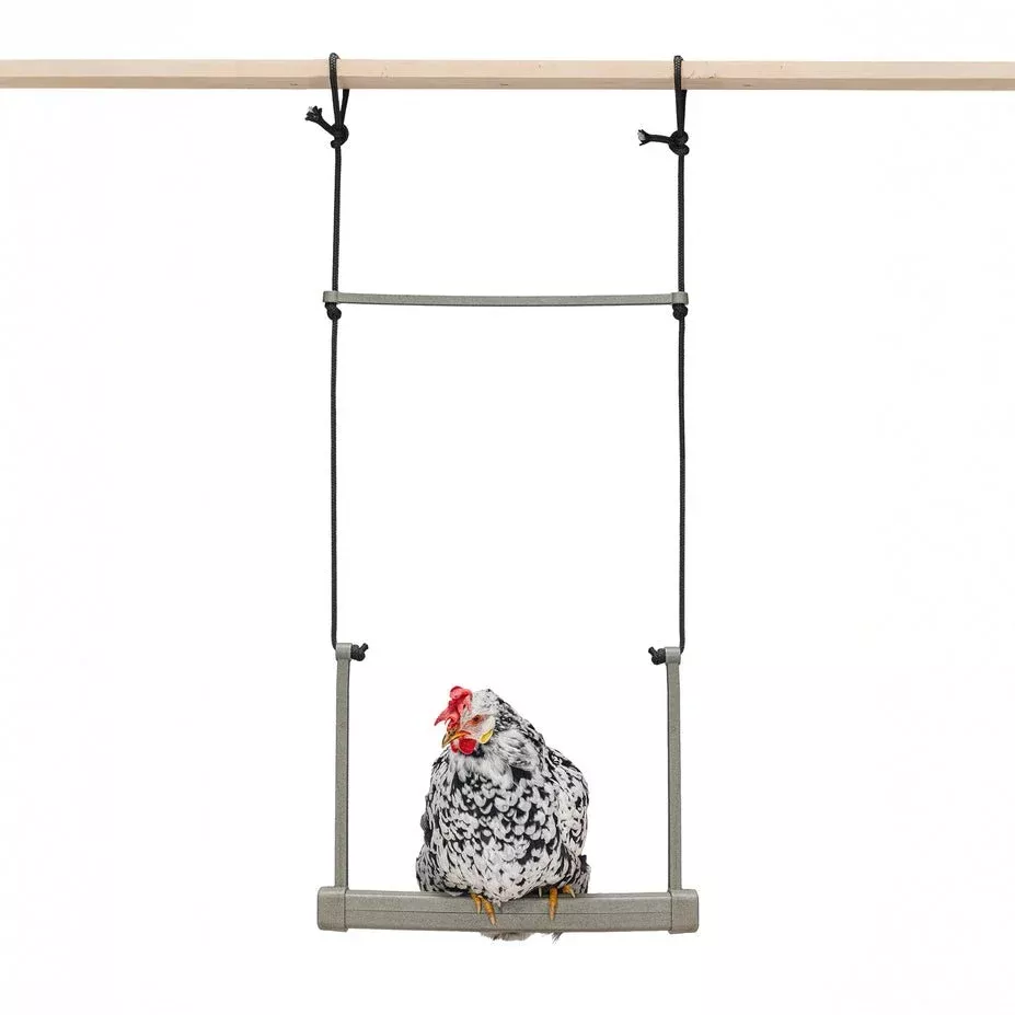 Backyard Chicken Swing – Durable, Recycled Material for Flock Activity
