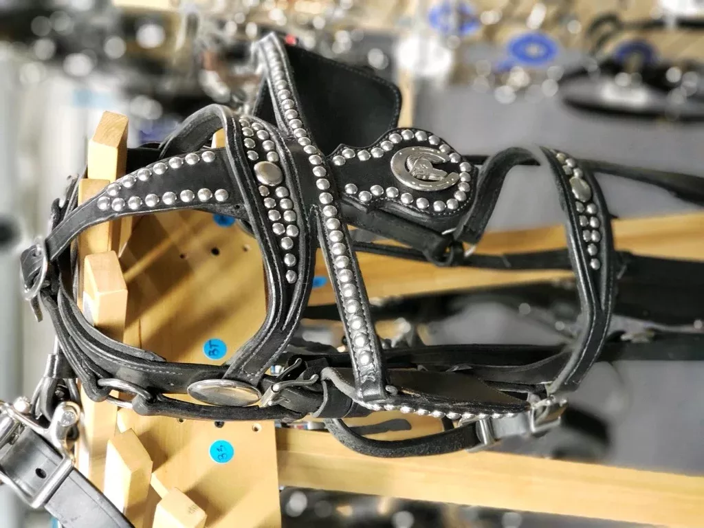 BELLY BACKER HARNESS - PARADE SPOTS
