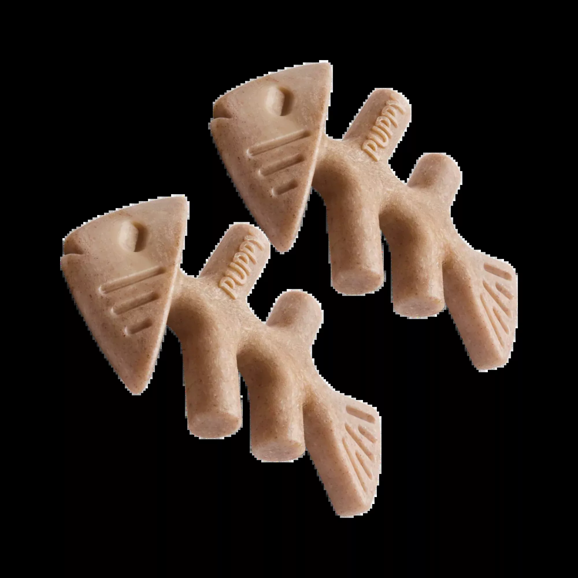 BeneBone Durable Puppy FishBone Dog Chew