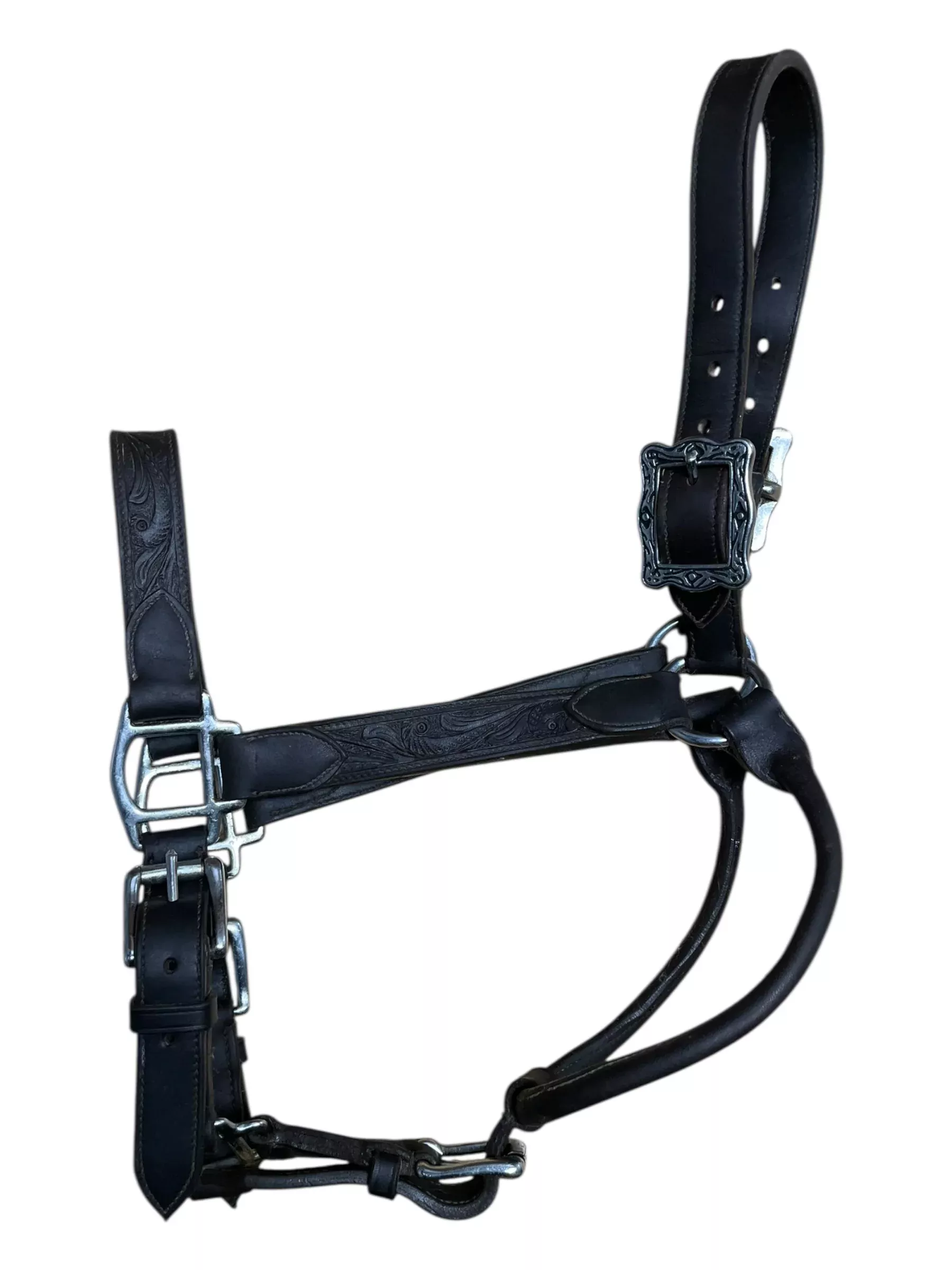 Billy Royal Tooled Halter - Dark Brown - Horse Size - USED