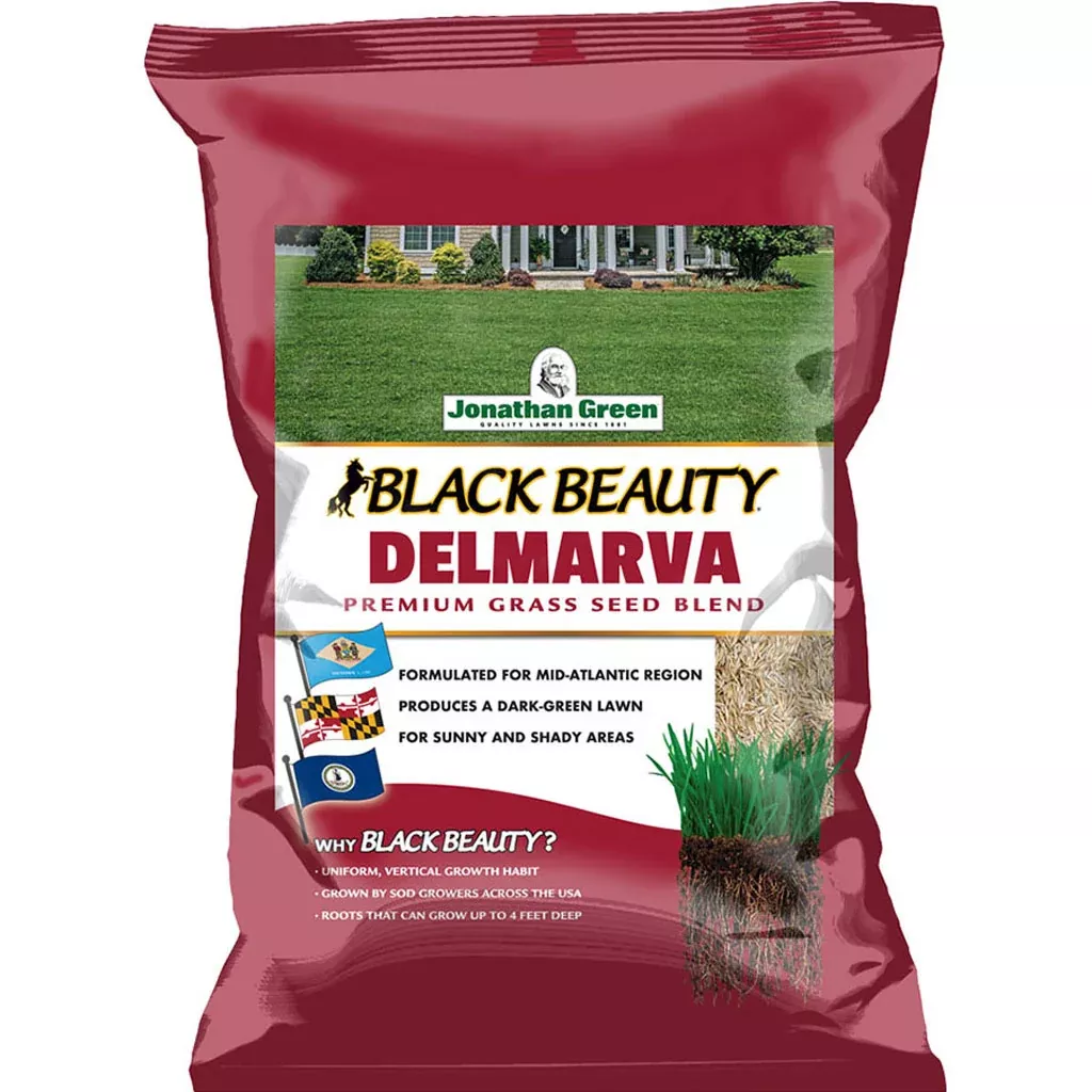 Black Beauty Delmarva Grass Seed Mixture 25 LB
