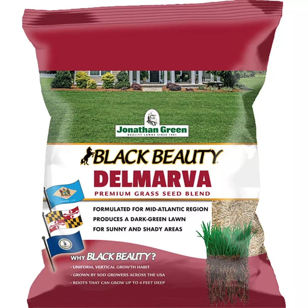 Black Beauty Delmarva Grass Seed Mixture 3 LB