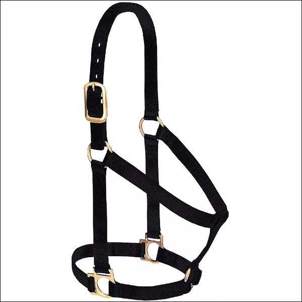 Black Weaver Western Tack Basic Horse Halter 1" Small Weanling Draft