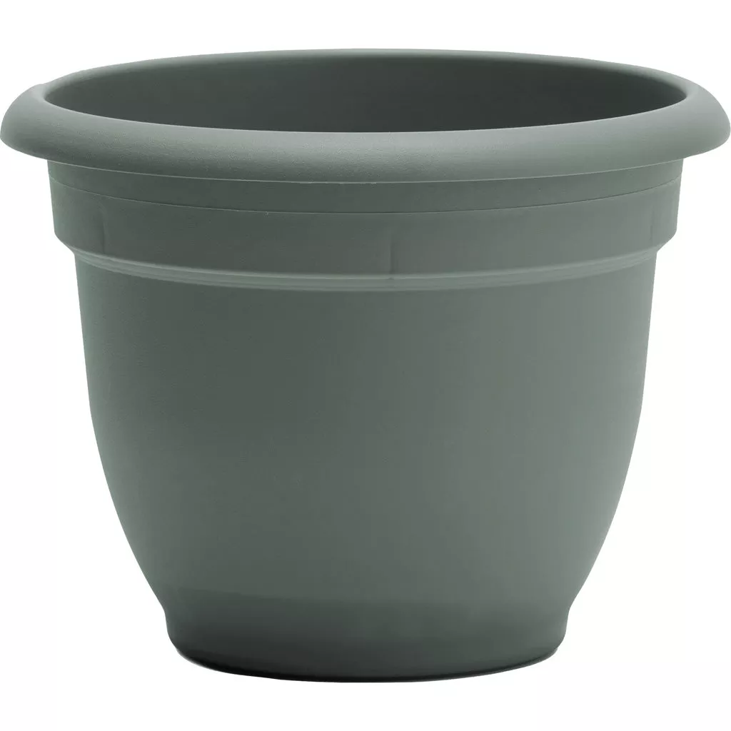 Bloem Ariana Planter, 12 in, Basil
