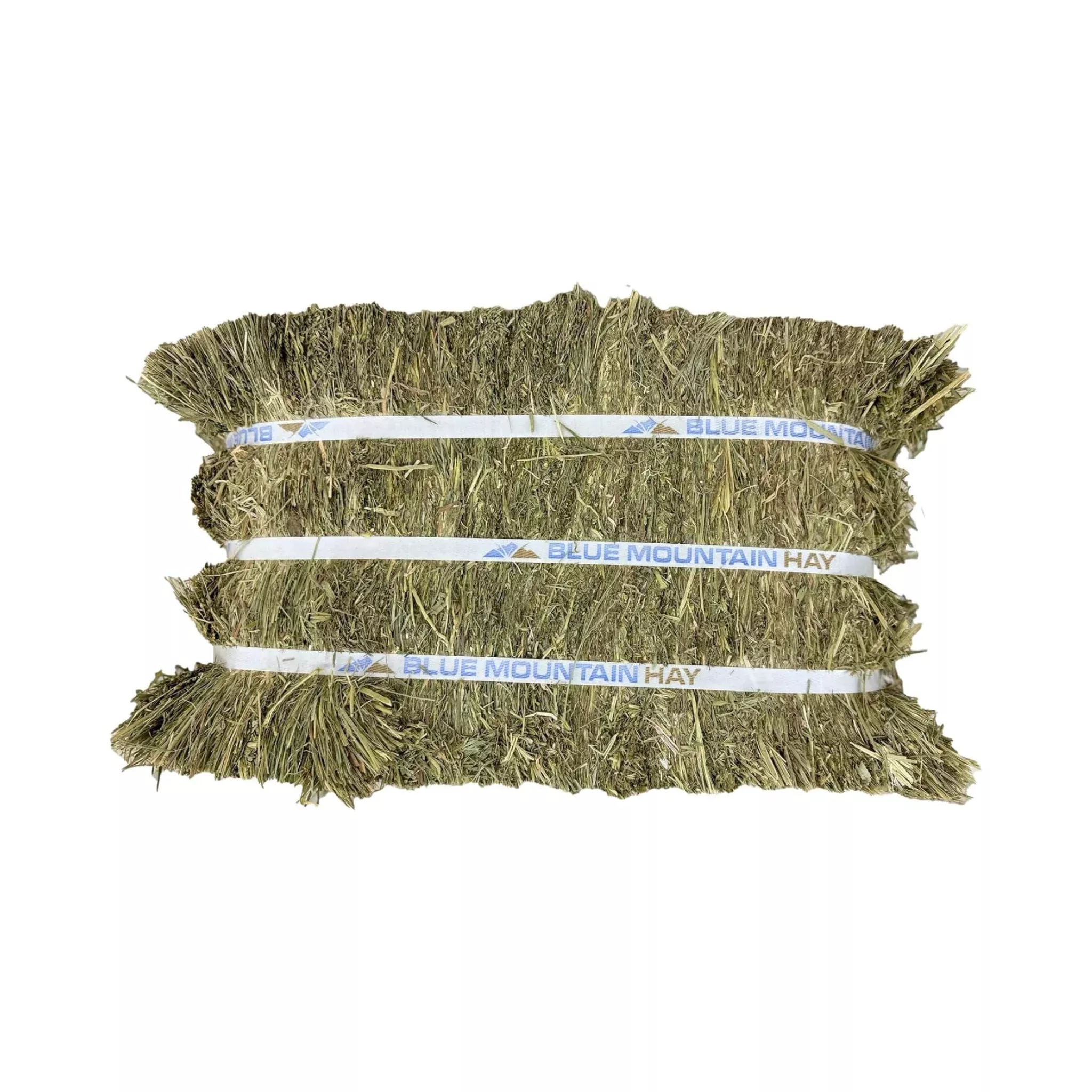 Blue Mountain Hay Alfalfa Compressed Hay Bale