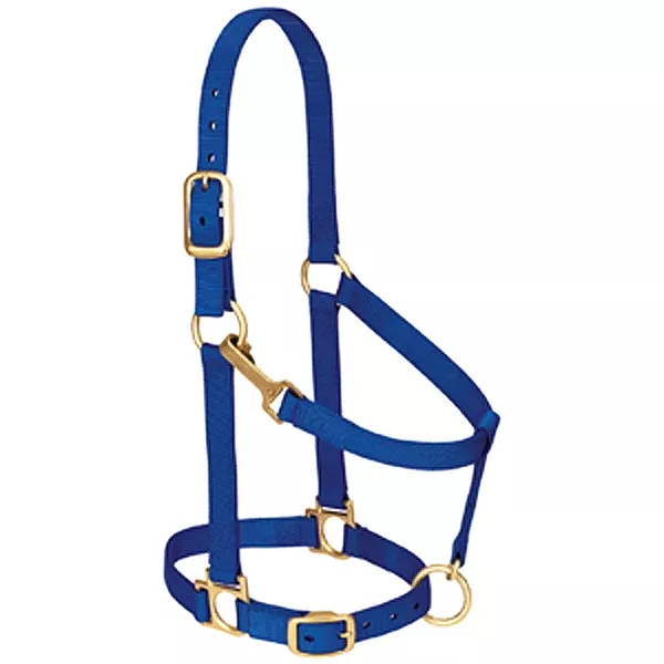 Blue Nylon Basic Adjustable Chin And Throat Snap Horse Halter By Weaver Lether