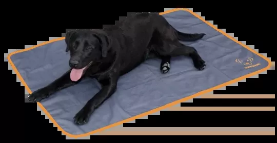 Bodyguard Dog Blanket