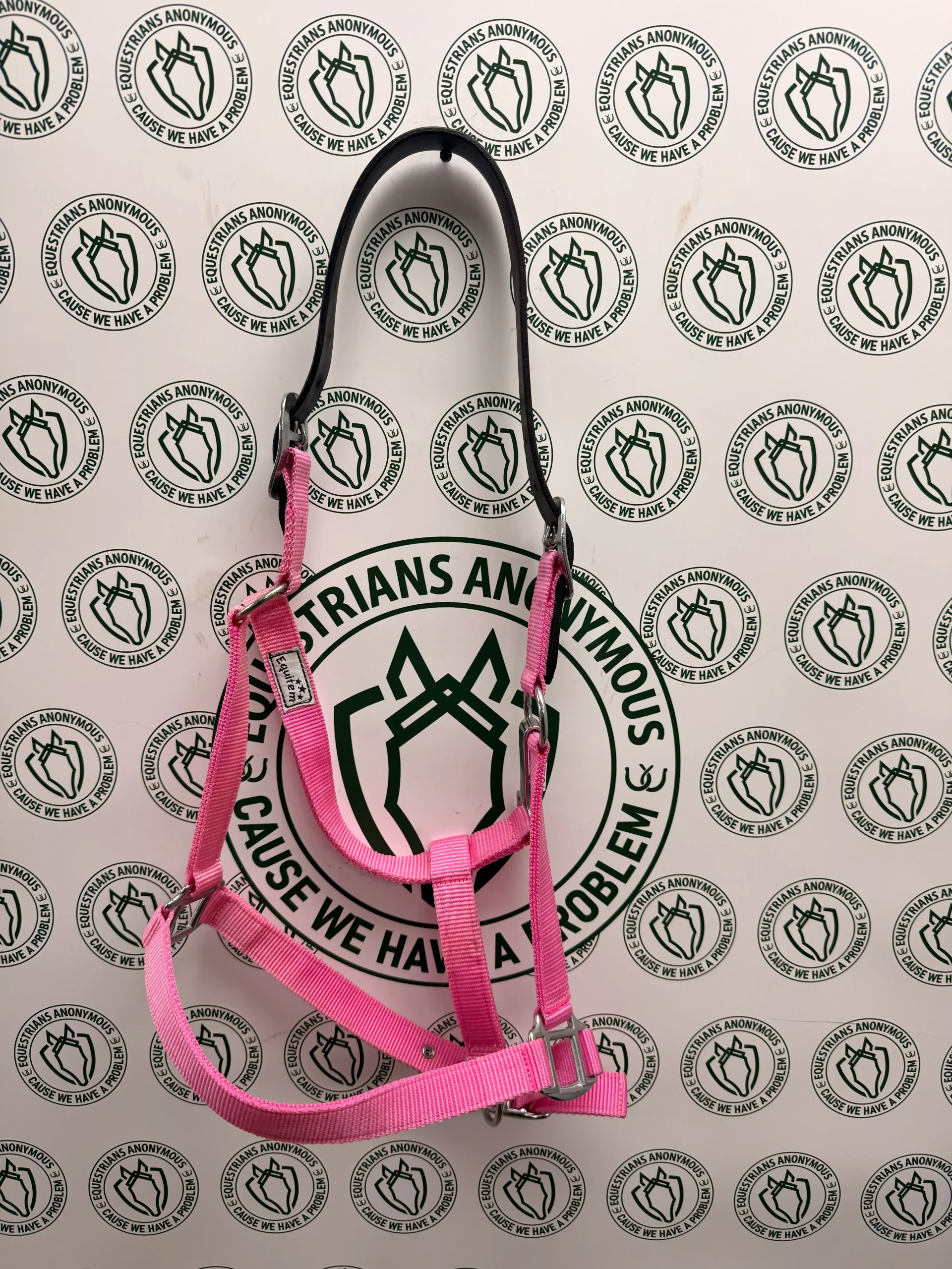 Breakaway crown horse halters