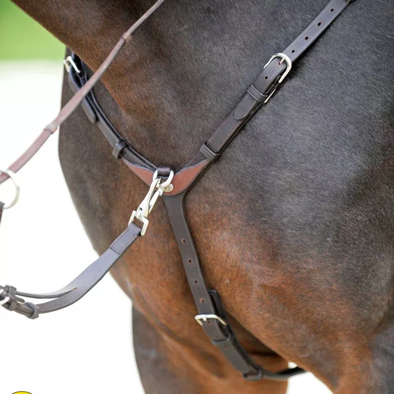 Breastplate Every Day