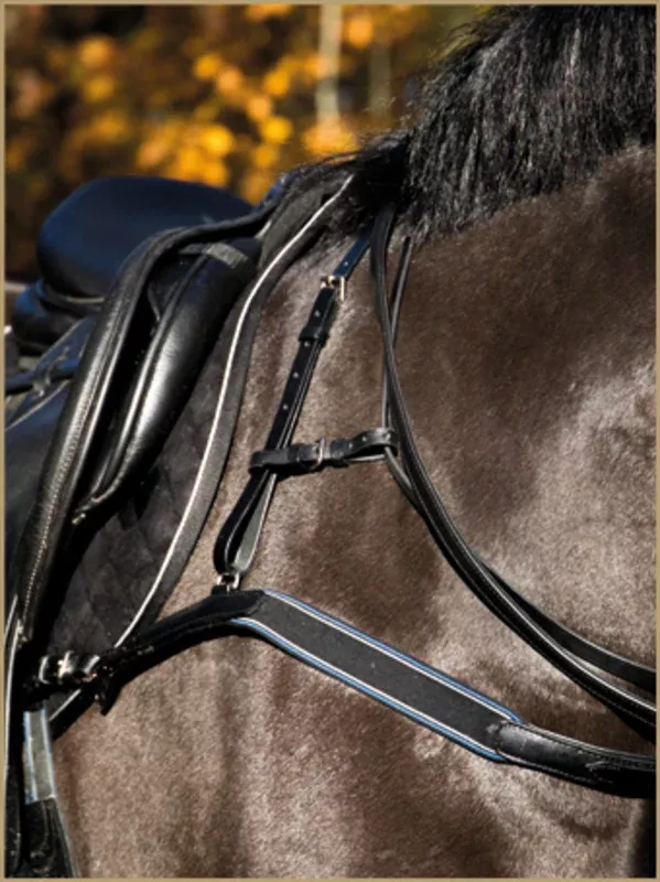 Breastplate padded
