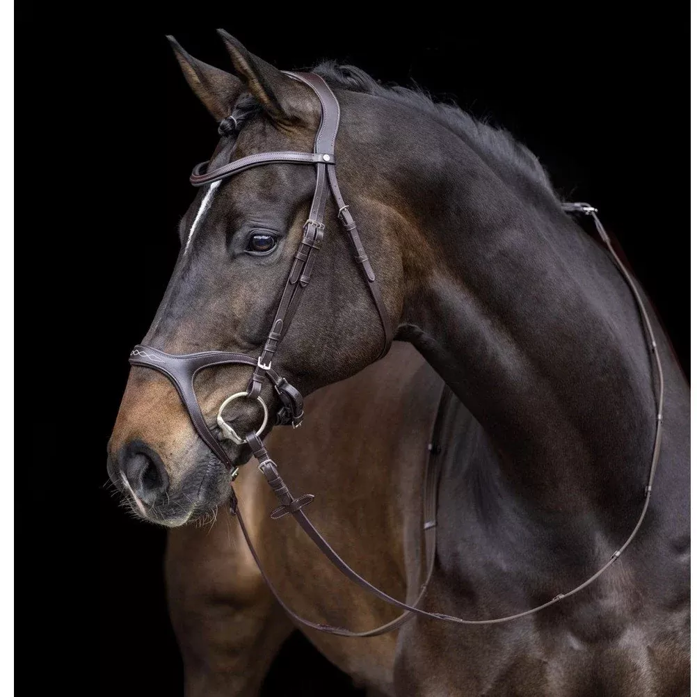 Bridle Anatomic Sports