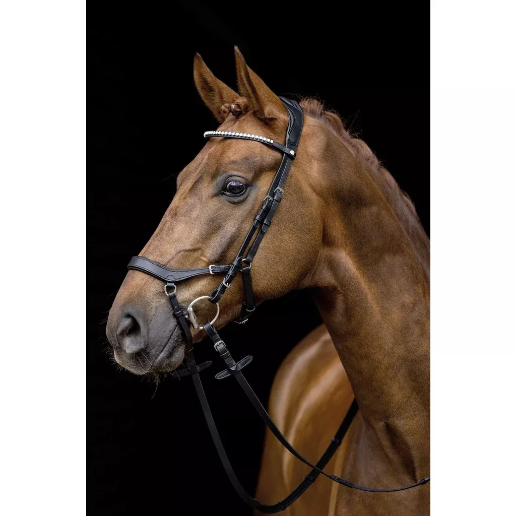 Bridle Pro Anatomic