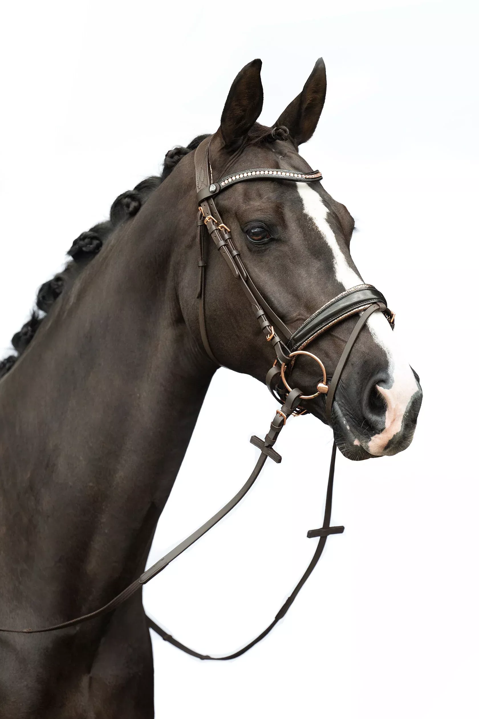 Bridle Sofia
