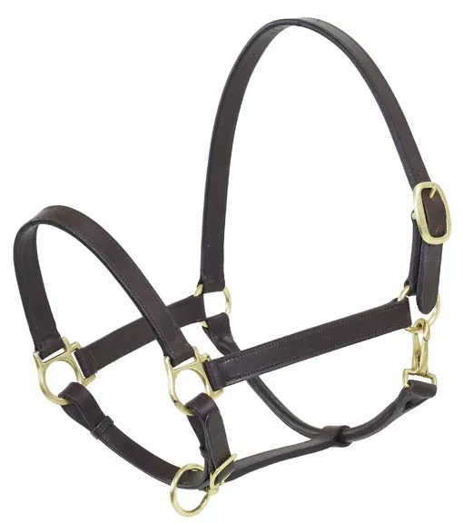Camelot Stable Halter