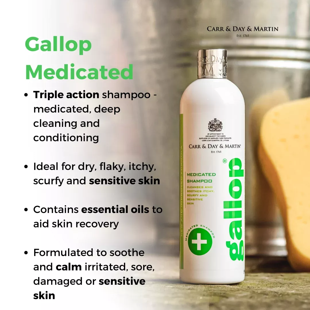 CDM Gallop Medicated Shampoo
