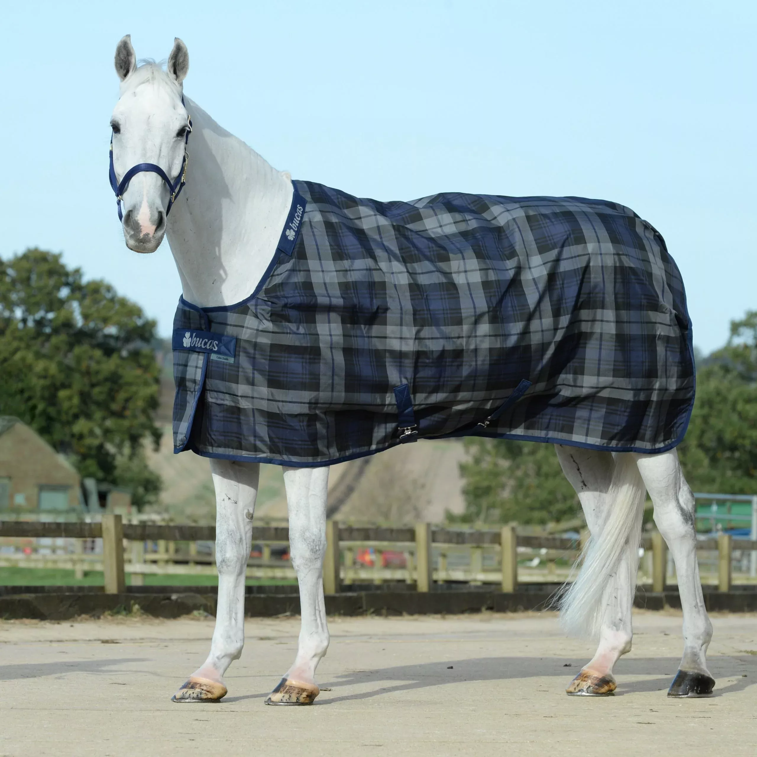 Celtic Stable Rug Medium 150g Stay-Dry Lining