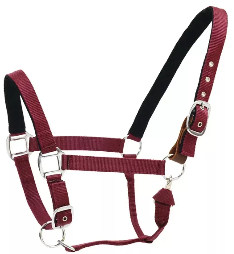 Centaur Solid Cushion Padded Breakaway Halter in Burgundy - Oversize