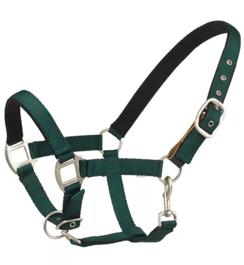 Centaur Solid Cushion Padded Breakaway Halter in Hunter Green - Full