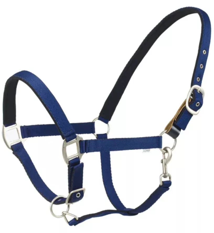 Centaur Solid Cushion Padded Breakaway Halter in Navy - Oversize