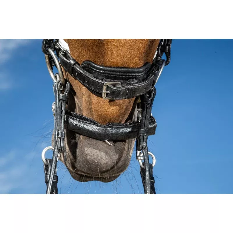 Chain Protection with Neoprene
