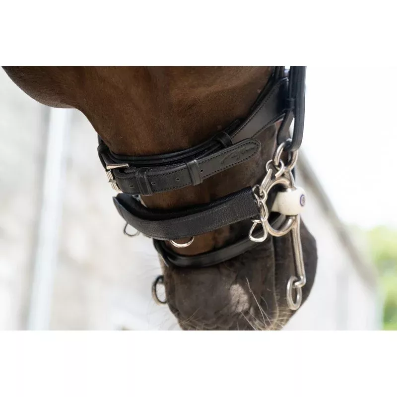 Chain Protection