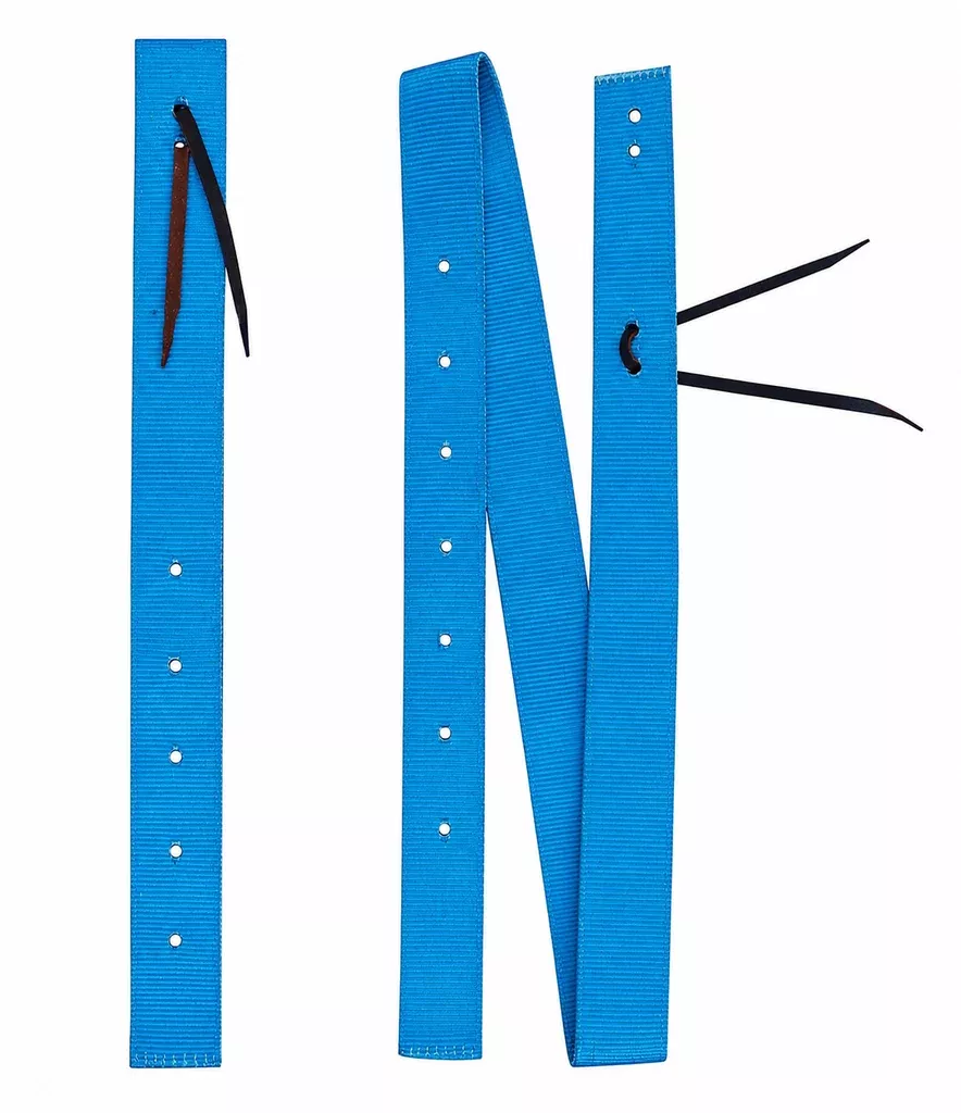 Challenger Turquoise Nylon Billet & Tie Strap Set Western Saddle Rigging with Leather Tie Ends 404JSet