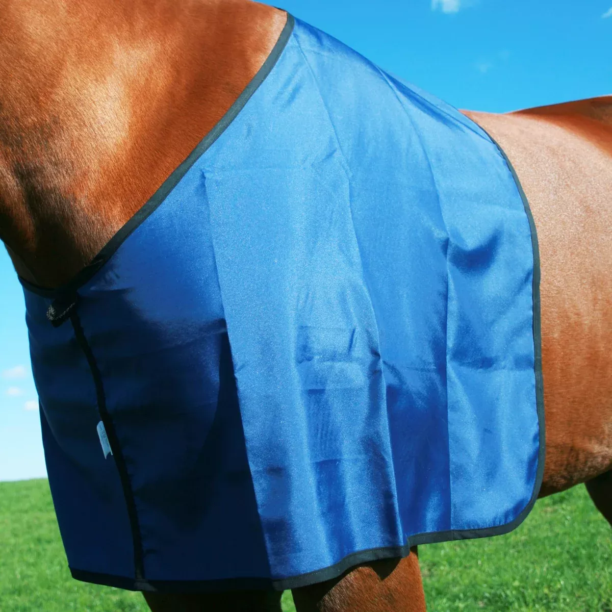 Chevalier Anti Rub Vest