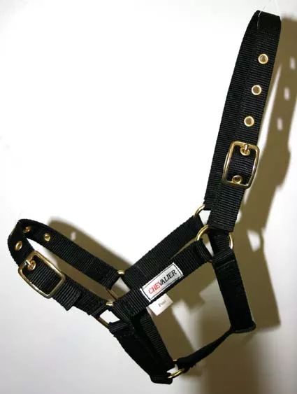 Chevalier Nylon Young Horse Halter