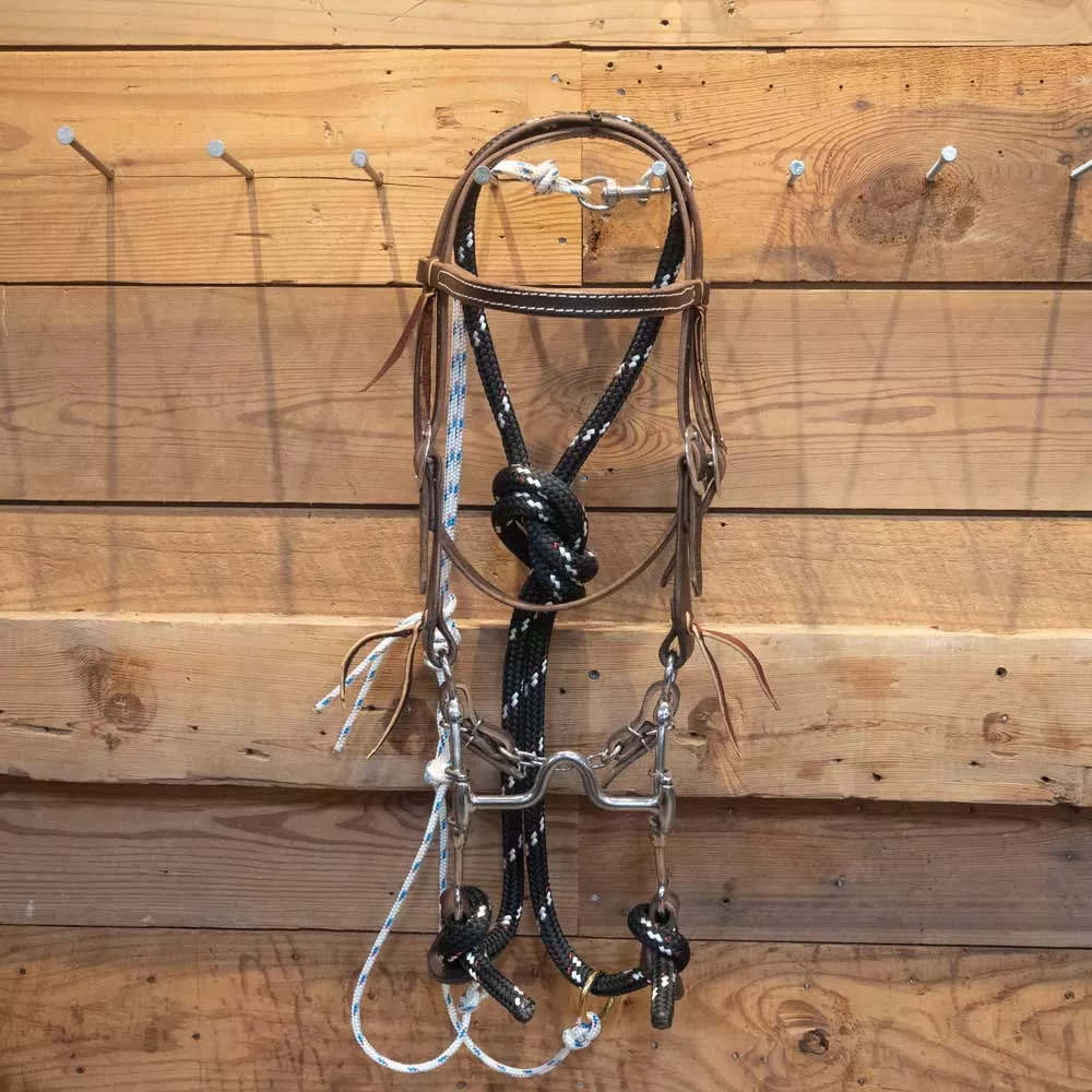 CHS Solid Port Gag Rig w/Martingale
