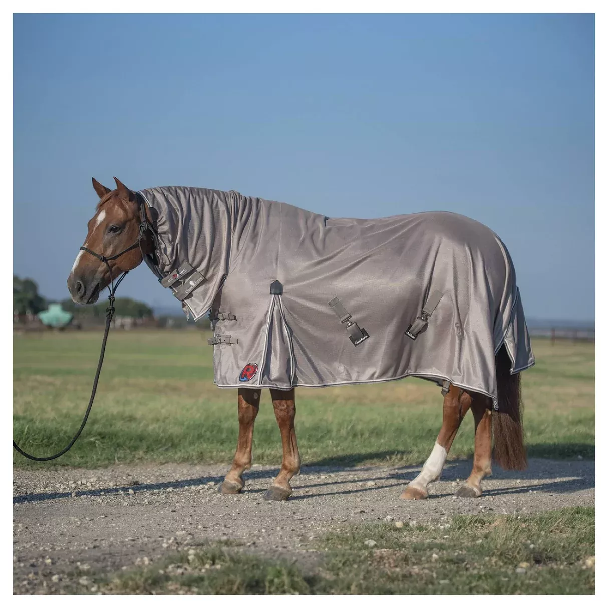 Classic Equine Ceramic Sheet
