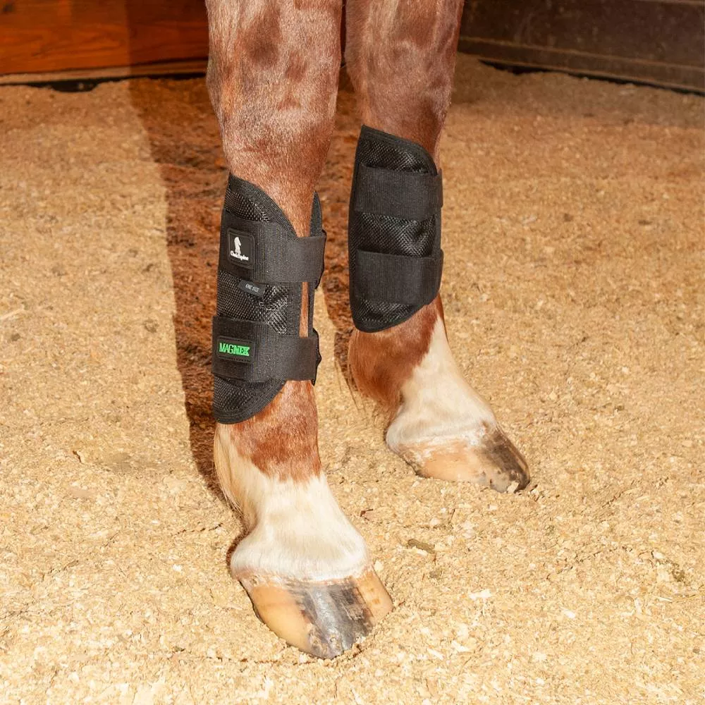 Classic Equine MagNTX Tendon Wrap