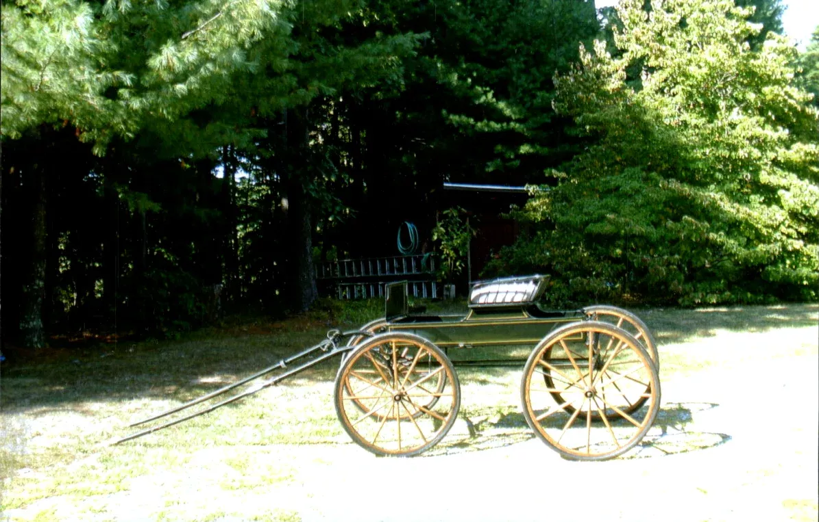 Cob - Horse Spindle Seat 4 Wheel Carriage